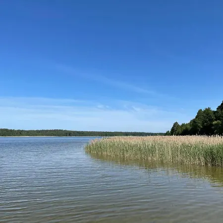 Wald Und By Interhome * Userin